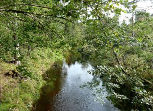 På måneskinsbrua