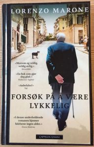 forsok-pa%cc%8a-a%cc%8a-vaere-lykkelig-1